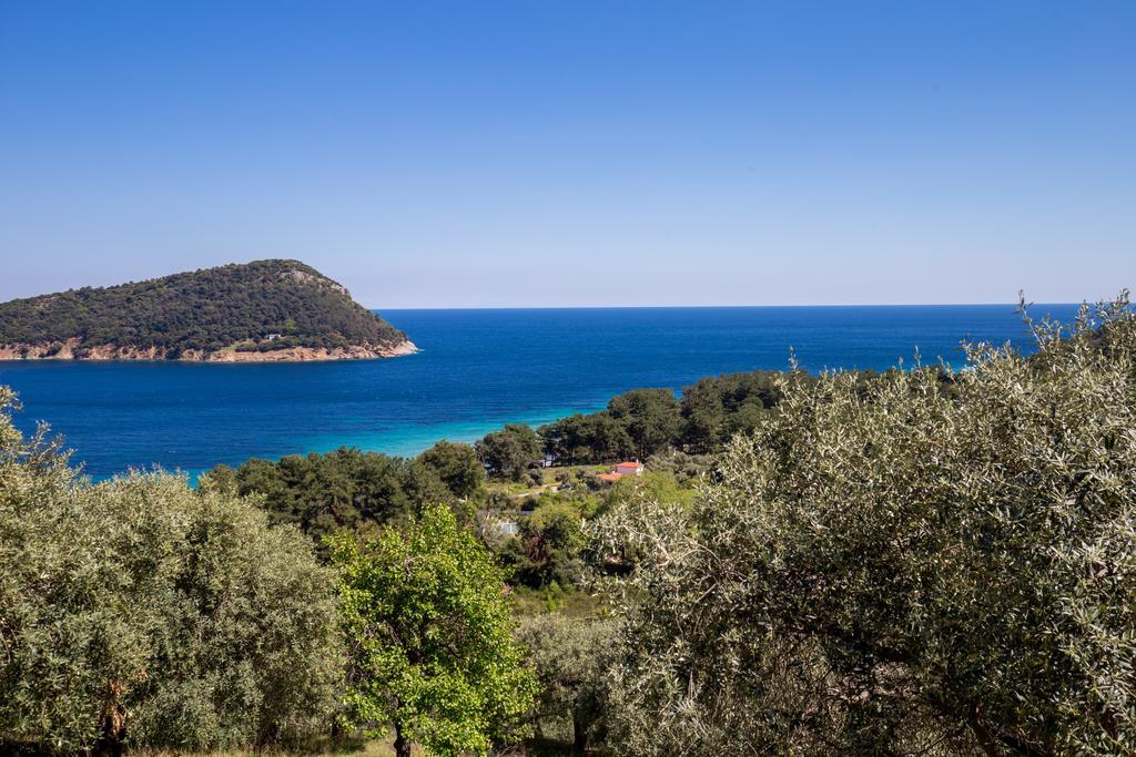 Aphrodite Villas Koinira Eksteriør bilde